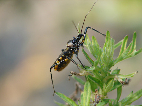 老科学家学术成长资料采集工程